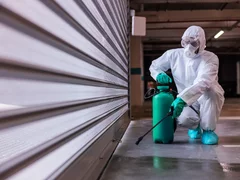 Deratizare, dezinsectie si dezinfectie in Bucuresti si Ilfov