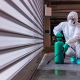 Deratizare, dezinsectie si dezinfectie in Bucuresti si Ilfov