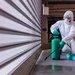 Deratizare, dezinsectie si dezinfectie in Bucuresti si Ilfov